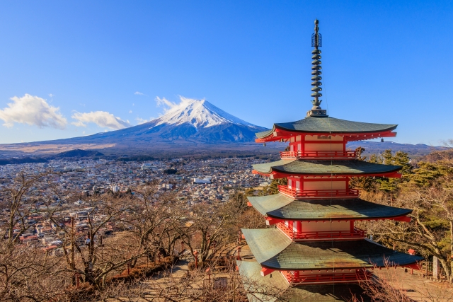 Best Websites for Booking Hotels in Japan